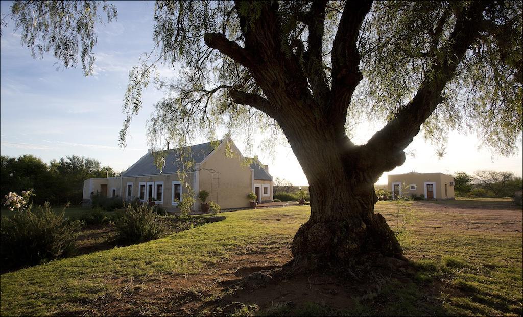Rietfontein Ostrich Palace Vleirivier Εξωτερικό φωτογραφία
