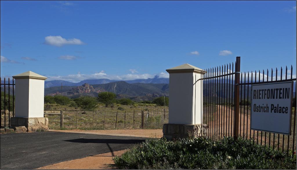 Rietfontein Ostrich Palace Vleirivier Εξωτερικό φωτογραφία