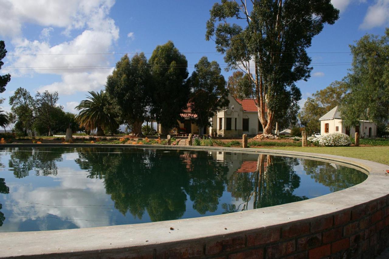 Rietfontein Ostrich Palace Vleirivier Εξωτερικό φωτογραφία